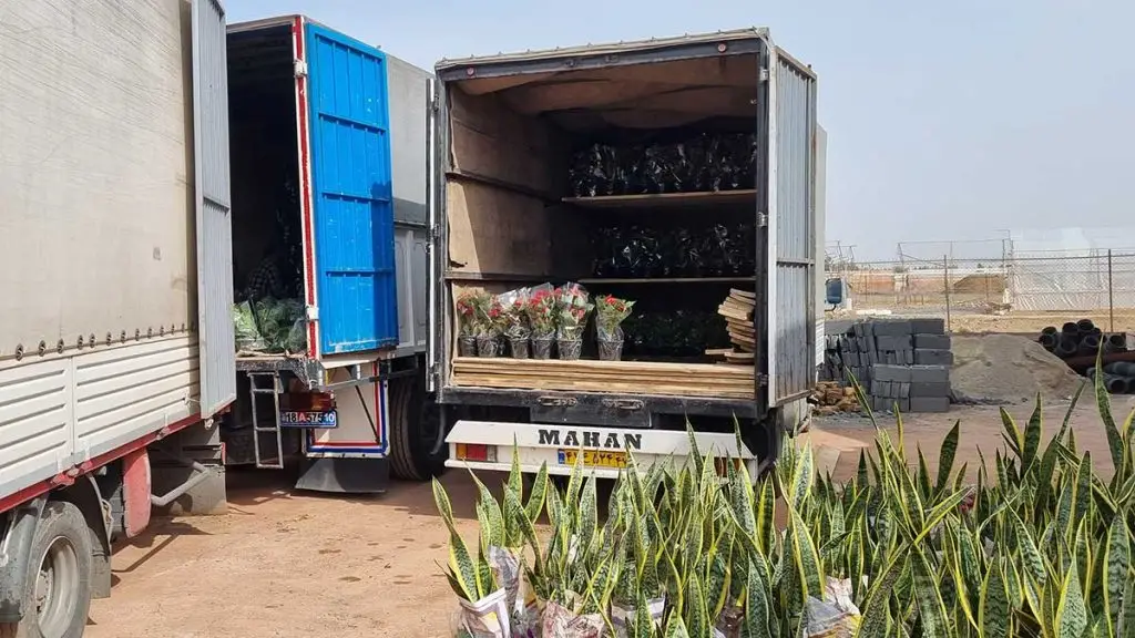 حمل گل و گیاهان توسط باربری